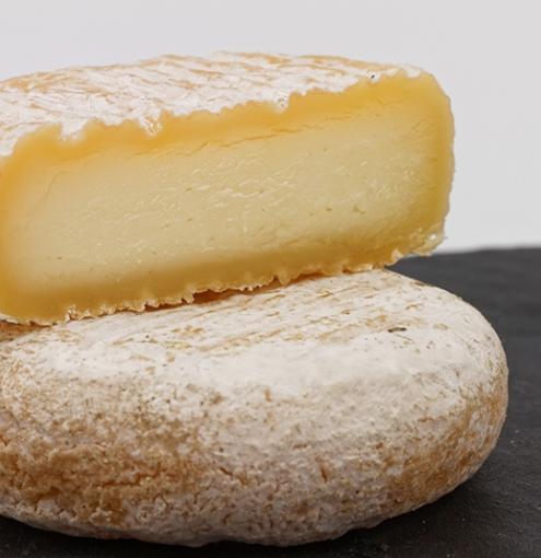 Cheeses -  gourmet products from our terroirs